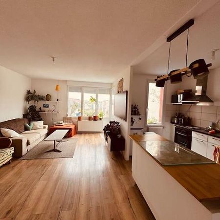 Bel Appartement Proche Mulhouse Pfastatt Dış mekan fotoğraf