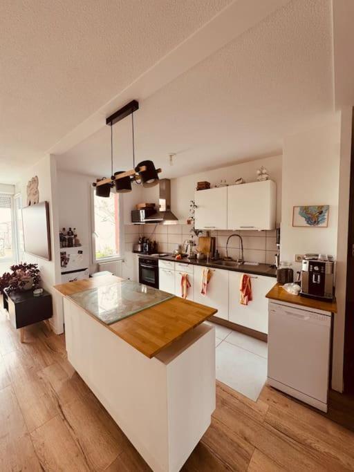 Bel Appartement Proche Mulhouse Pfastatt Dış mekan fotoğraf
