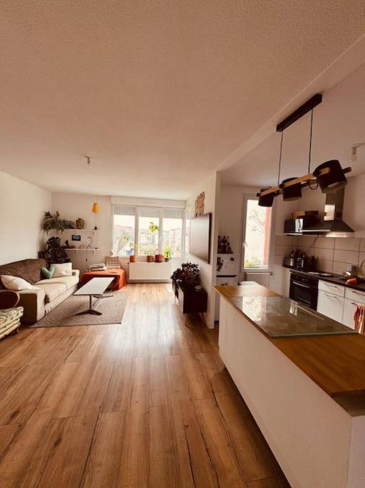 Bel Appartement Proche Mulhouse Pfastatt Dış mekan fotoğraf
